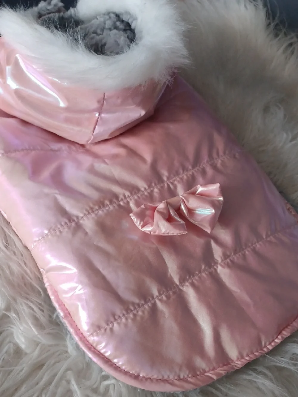 Small Dog Iridescent Outfit
